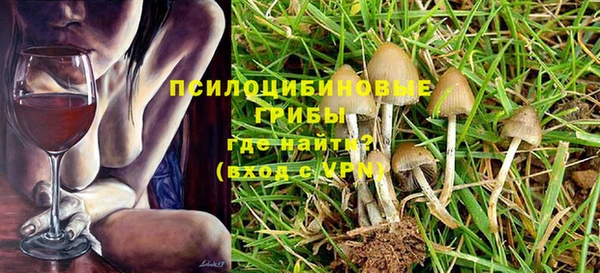 ECSTASY Пестово